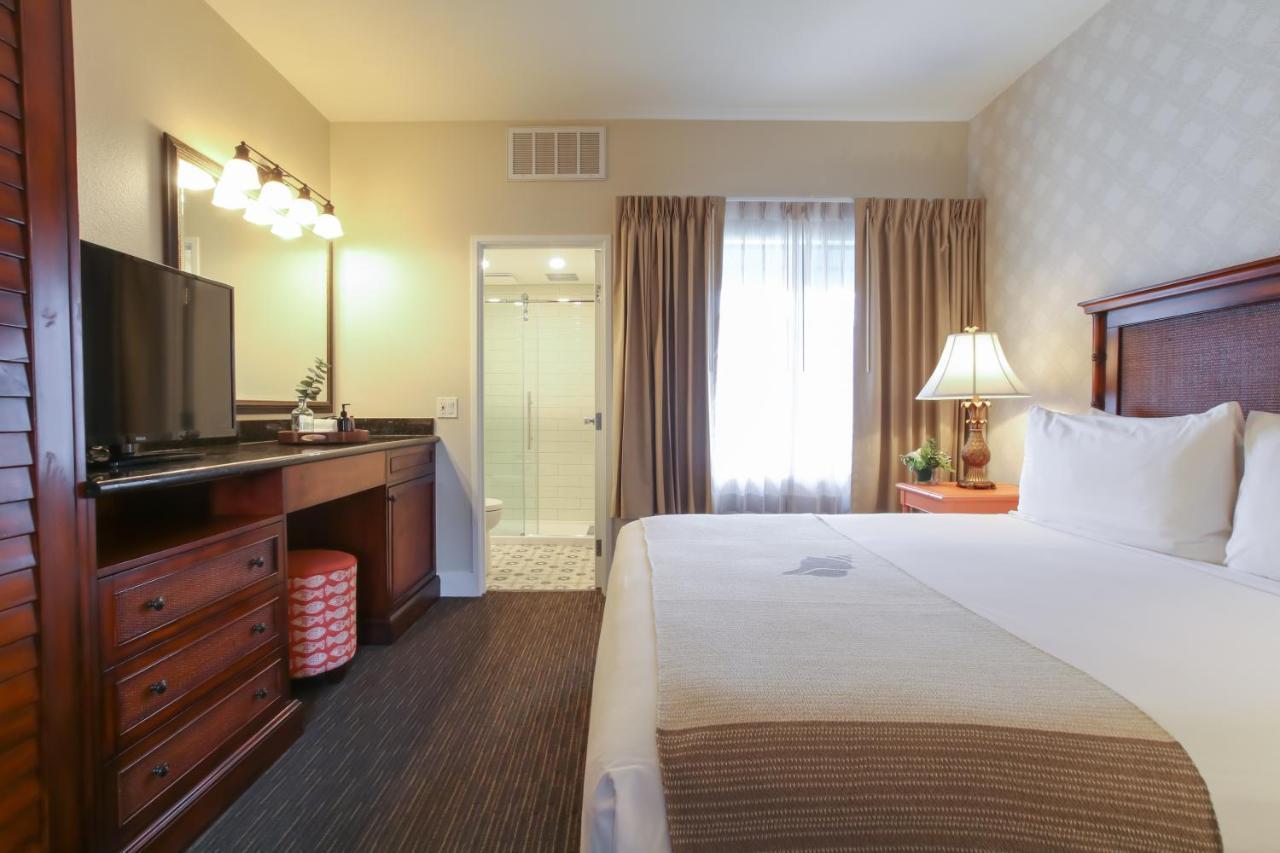 Top Floor Courtyard View King Suite Sleeper Sofa